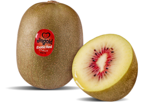 Kiwi Jingold Exotic Red