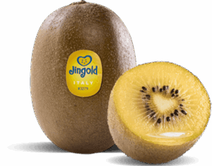 Kiwi Jingold